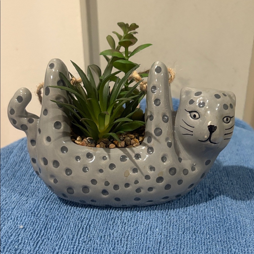 Gray Spotted Cheetah Planter with Succulent